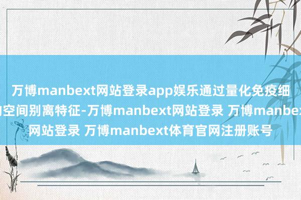 万博manbext网站登录app娱乐通过量化免疫细胞在肿瘤微环境中的空间别离特征-万博manbext网站登录 万博manbext体育官网注册账号