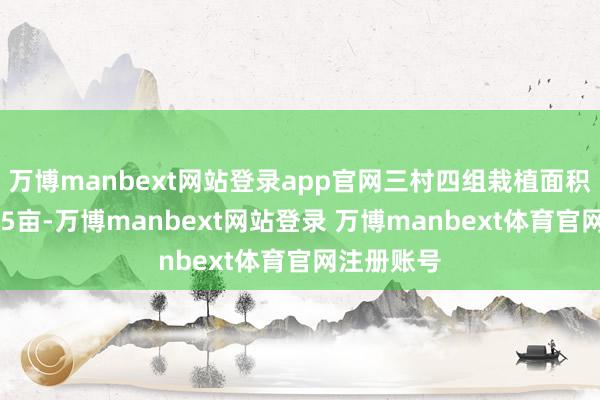 万博manbext网站登录app官网三村四组栽植面积共计约735亩-万博manbext网站登录 万博manbext体育官网注册账号