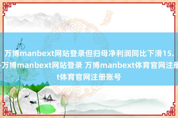 万博manbext网站登录但归母净利润同比下滑15.79%-万博manbext网站登录 万博manbext体育官网注册账号