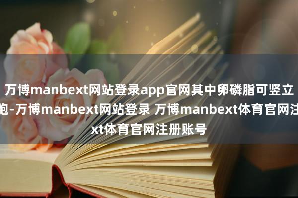 万博manbext网站登录app官网其中卵磷脂可竖立肝肾细胞-万博manbext网站登录 万博manbext体育官网注册账号